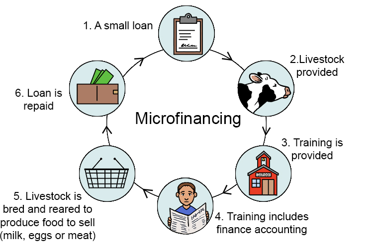 Very small loans which are given to people in low income countries (LICs) to help them start a small business